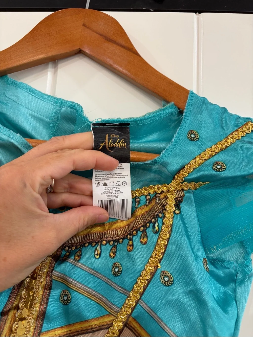 Jasmine dress-up Costume
